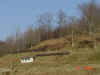 DSC00110.JPG (146765 bytes)